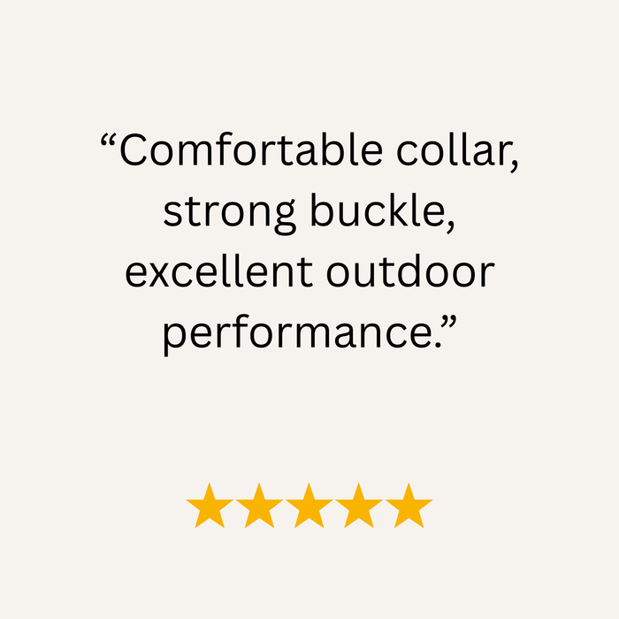 Red Waterproof Biothane Buckle Dog Collar