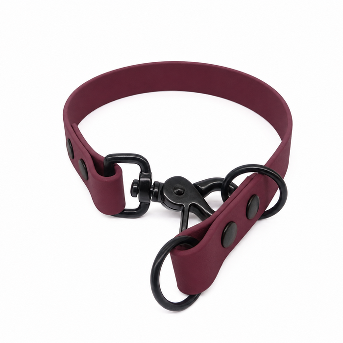 Wine Waterproof Biothane Slip Dog Collar