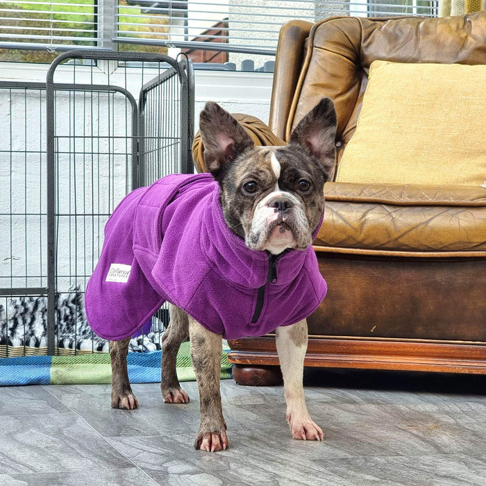 Collared Creatures - Perfectly Practical Dog Drying Coat - Available in 3 Colours