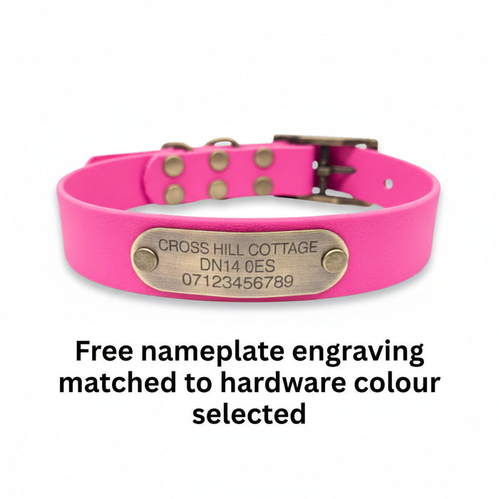 Fuchsia Waterproof Biothane Buckle Dog Collar