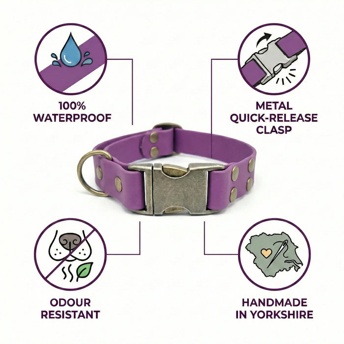 Grape Waterproof Biothane Metal Clasp Dog Collar