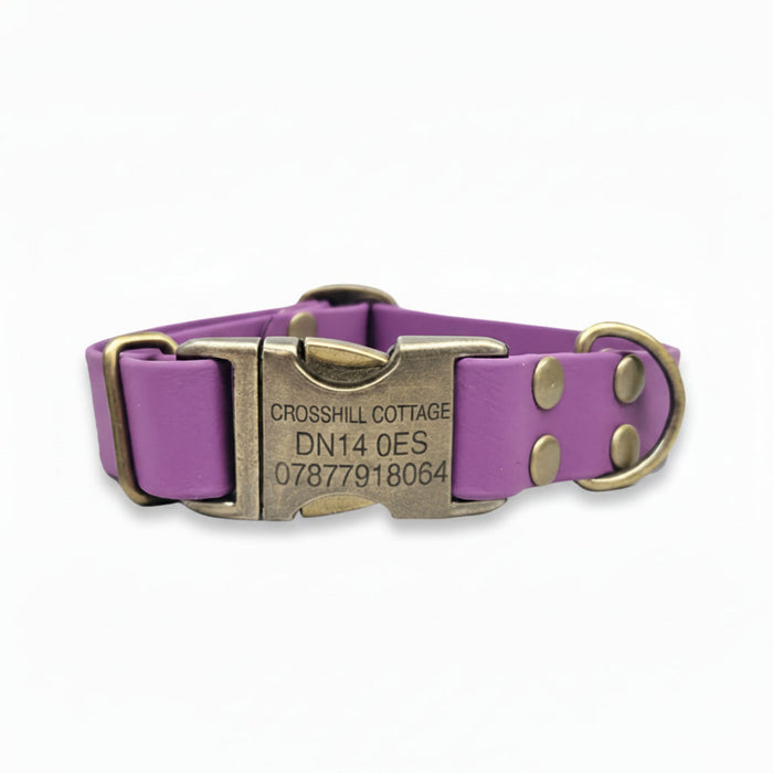 Grape Waterproof Biothane Metal Clasp Dog Collar