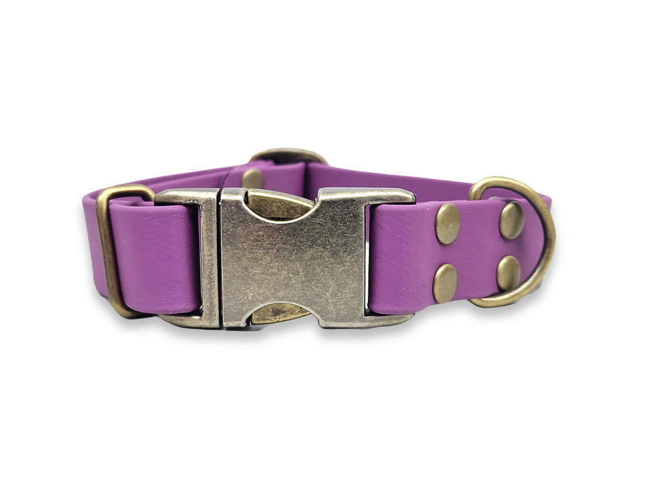 Grape Waterproof Biothane Metal Clasp Dog Collar
