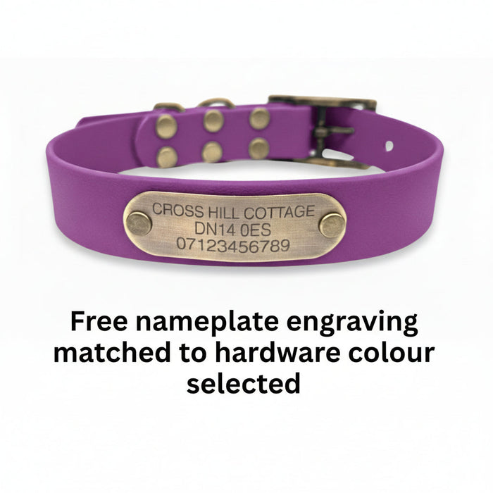 Grape Waterproof Biothane Buckle Dog Collar