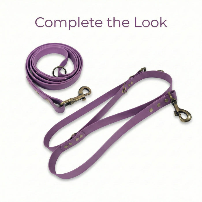 Grape Waterproof Biothane Metal Clasp Dog Collar