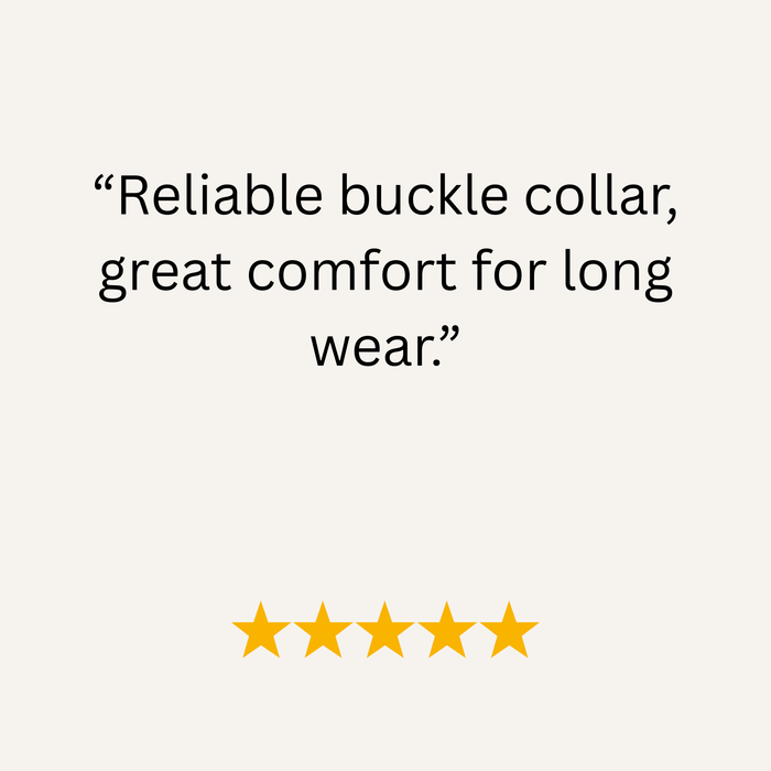 Duck Egg Blue Waterproof Biothane Buckle Dog Collar
