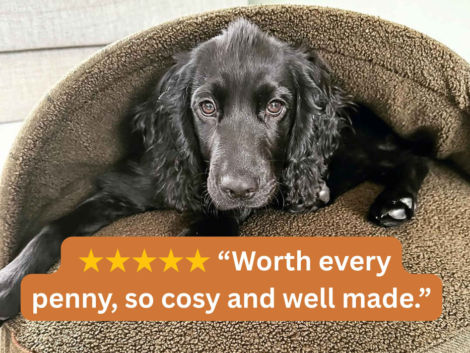Green Tweed Luxury Dog Cave Bed with Removable Firm Hood