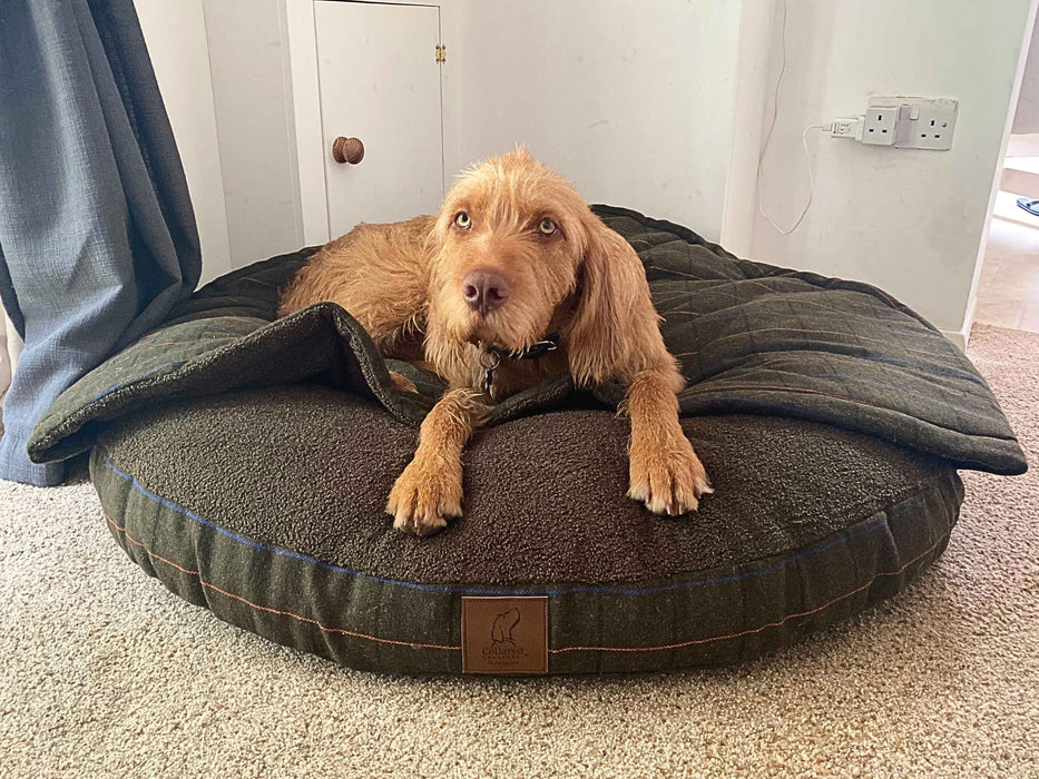 Green Tweed Luxury Dog Cave Bed with Removable Firm Hood