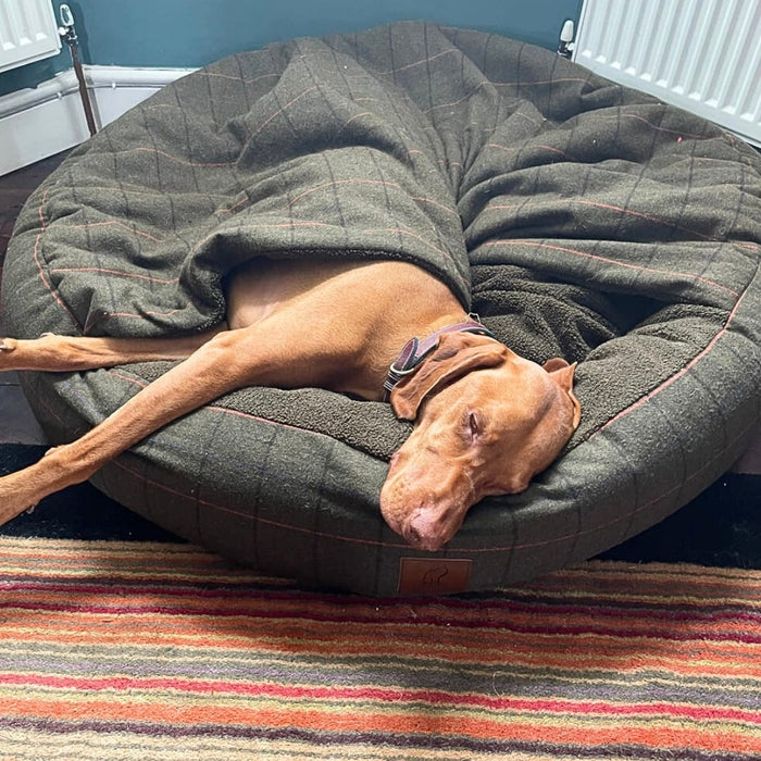 Collared Creatures - Green Tweed Luxury Cocoon Cushion Round Dog Bed