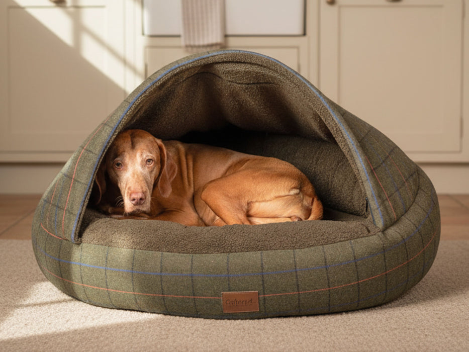 Green Tweed Deluxe Comfort Cocoon Dog Bed