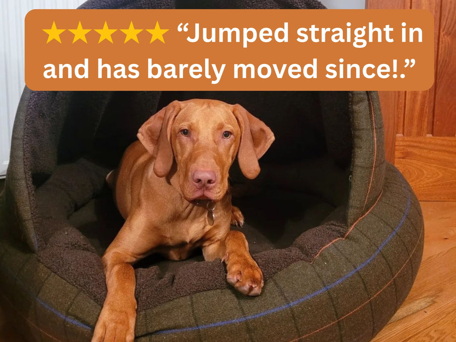 Green Tweed Deluxe Comfort Cocoon Dog Bed