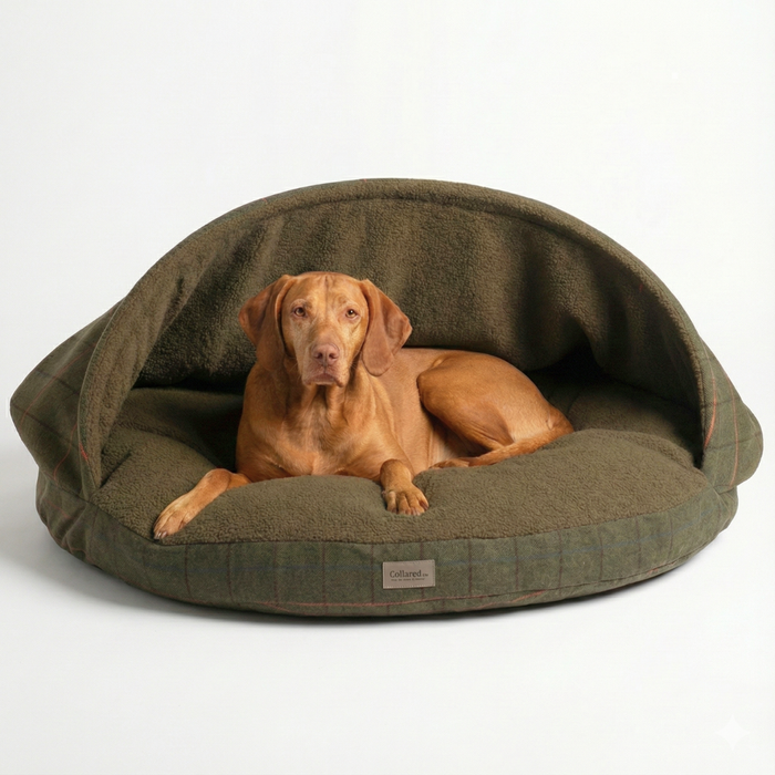 Green Tweed Luxury Dog Cave Bed with Removable Firm Hood