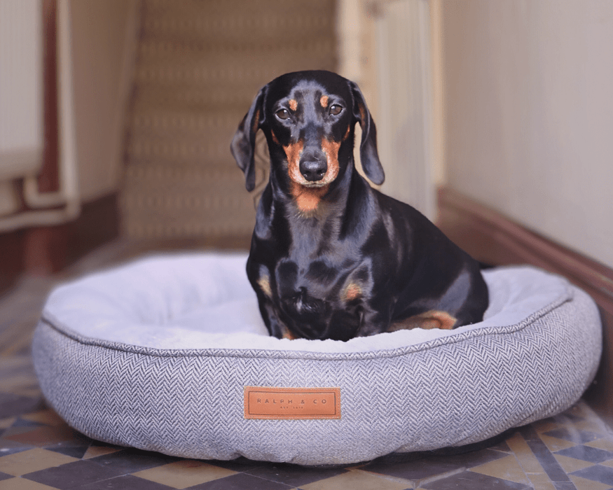 THE BALMORAL  | LUXURY DONUT BED