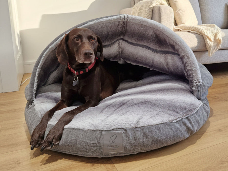 Collared Creatures - Grey Luxury Dog Cave Bed - Removable Hood