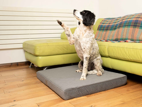 Collared Creatures Grey Velour Luxury Mattress Dog Bed