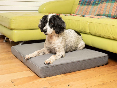 Collared Creatures Grey Velour Luxury Mattress Dog Bed