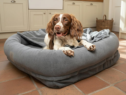 Collared Creatures - Luxury Grey Hoodied Bolster Dog Bed - Removable Hood