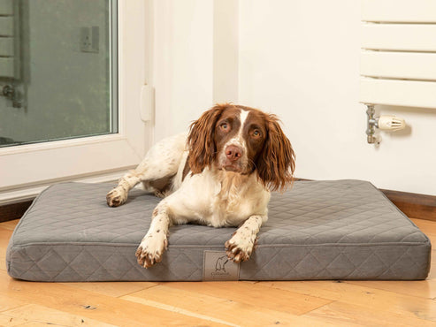 Collared Creatures Grey Velour Luxury Mattress Dog Bed