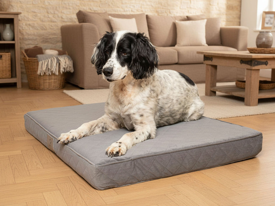 Collared Creatures Grey Velour Luxury Mattress Dog Bed