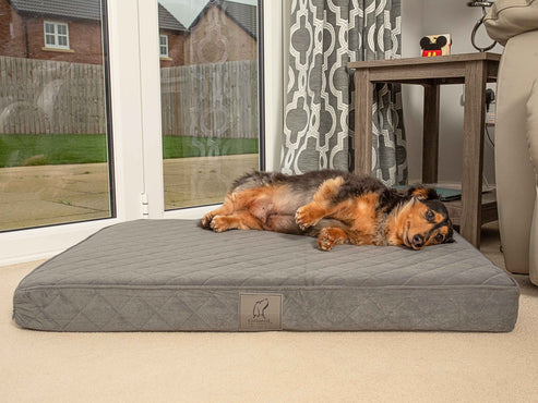 Collared Creatures Grey Velour Luxury Mattress Dog Bed