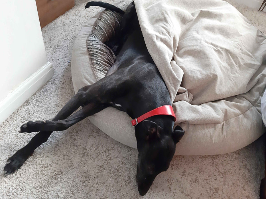Beige Classic Comfort Cocoon Dog Bed (cushion base)