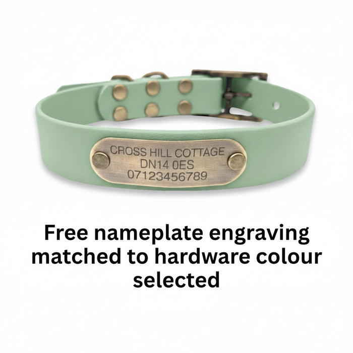 Guacamole Green Waterproof Biothane Buckle Dog Collar