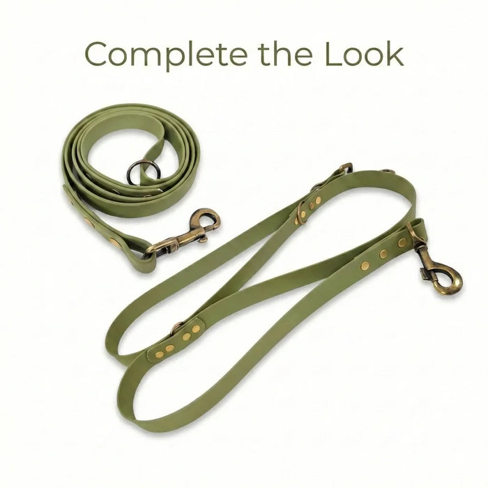Guacamole Green Waterproof Biothane Buckle Dog Collar