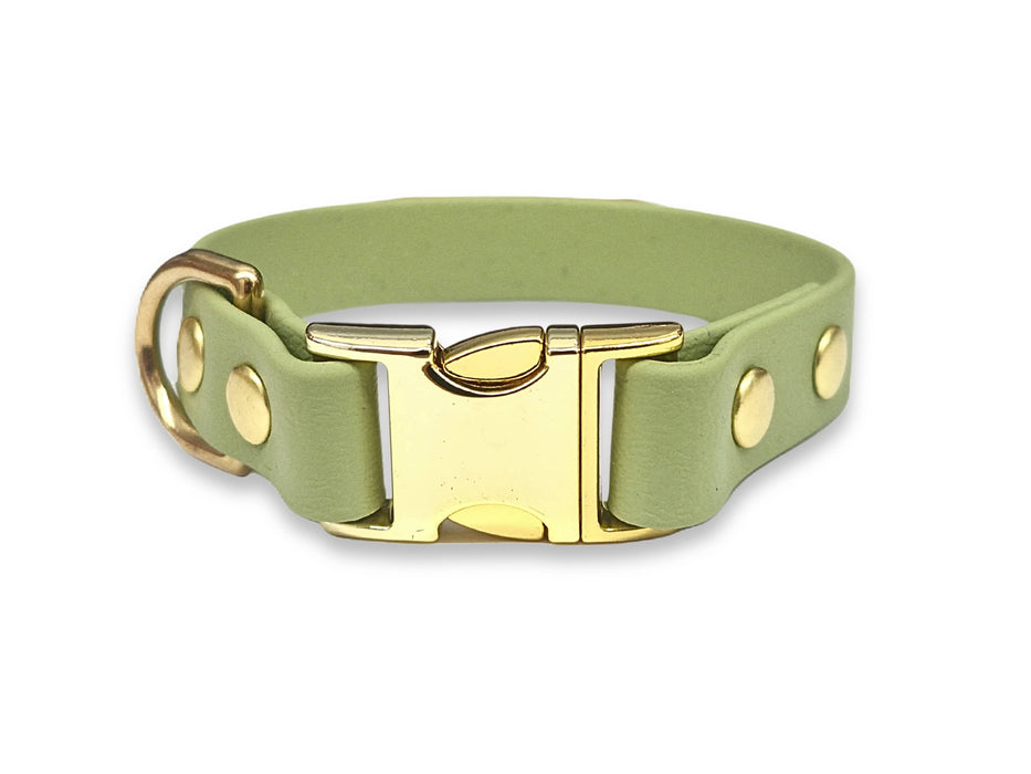 Guacamole Green Small Breed Waterproof Biothane Dog Collar 21cm to 28cm Neck