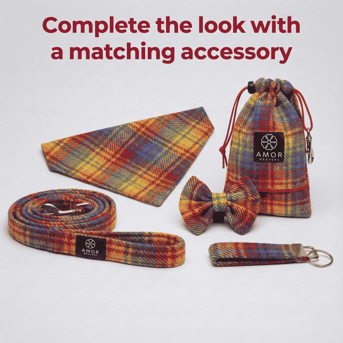 Heritage Rainbow - Buckle Fastening Luxury  Tweed Dog Collar