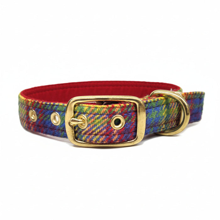 Heritage Rainbow - Buckle Fastening Luxury  Tweed Dog Collar