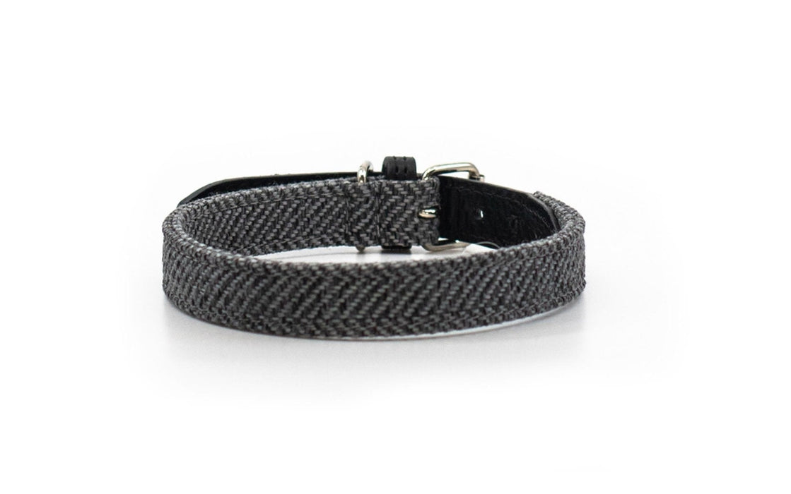 Herringbone & Leather Collar - Balmoral