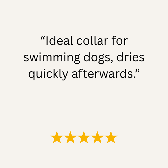 Olive Waterproof Biothane Buckle Dog Collar