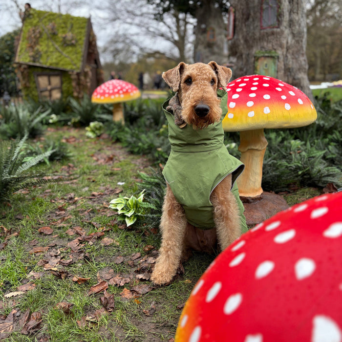 Green Superior Waterproof Dog Coat