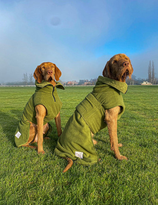 Collared Creatures - Perfectly Practical Dog Drying Coat - Available in 3 Colours