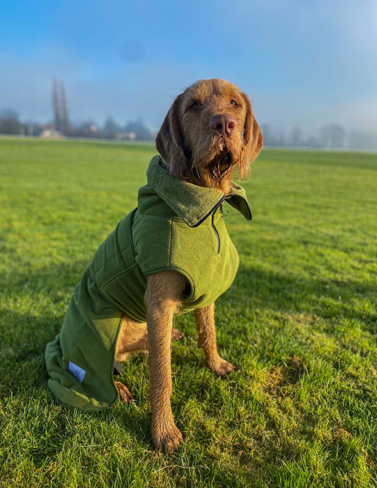 Collared Creatures - Perfectly Practical Dog Drying Coat - Available in 3 Colours