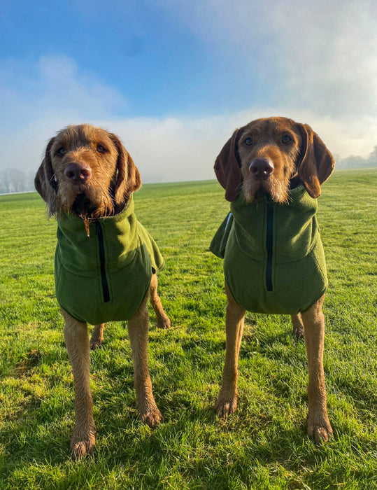 Collared Creatures - Perfectly Practical Dog Drying Coat - Available in 3 Colours