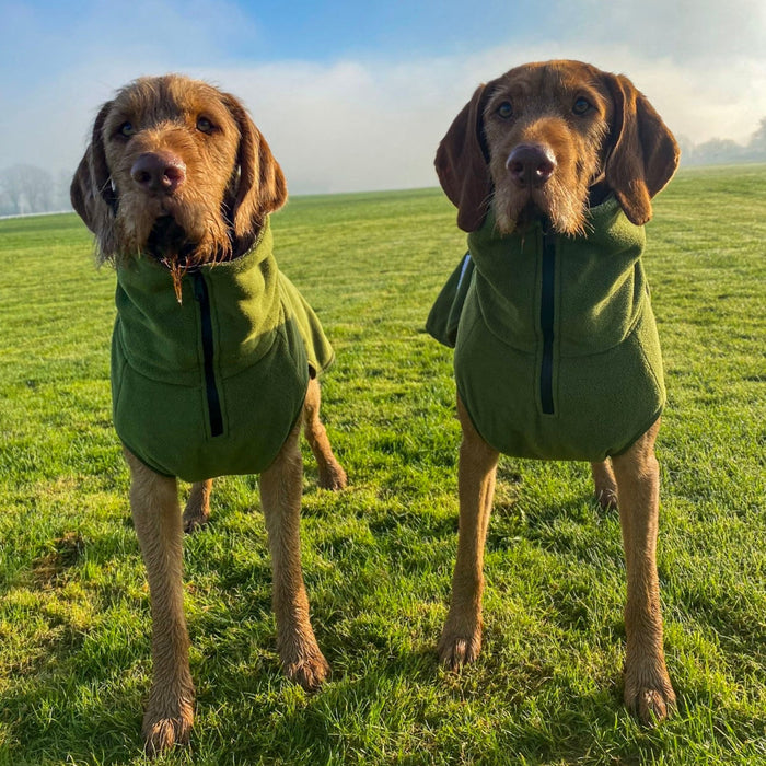 Green Superior Perfectly Practical Dog Drying Coat