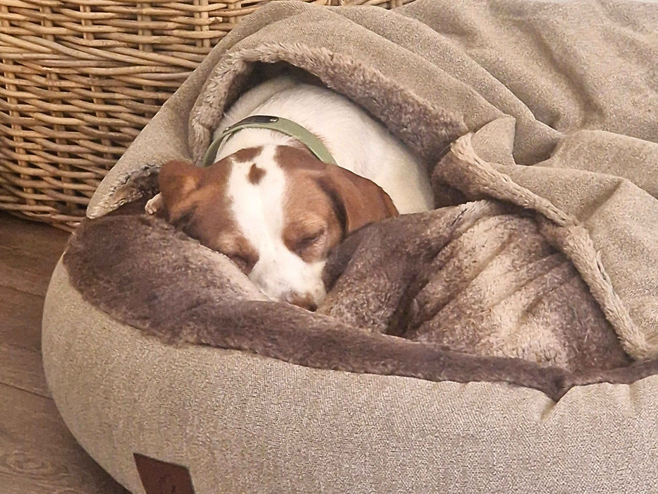 Beige Classic Comfort Cocoon Dog Bed (cushion base)