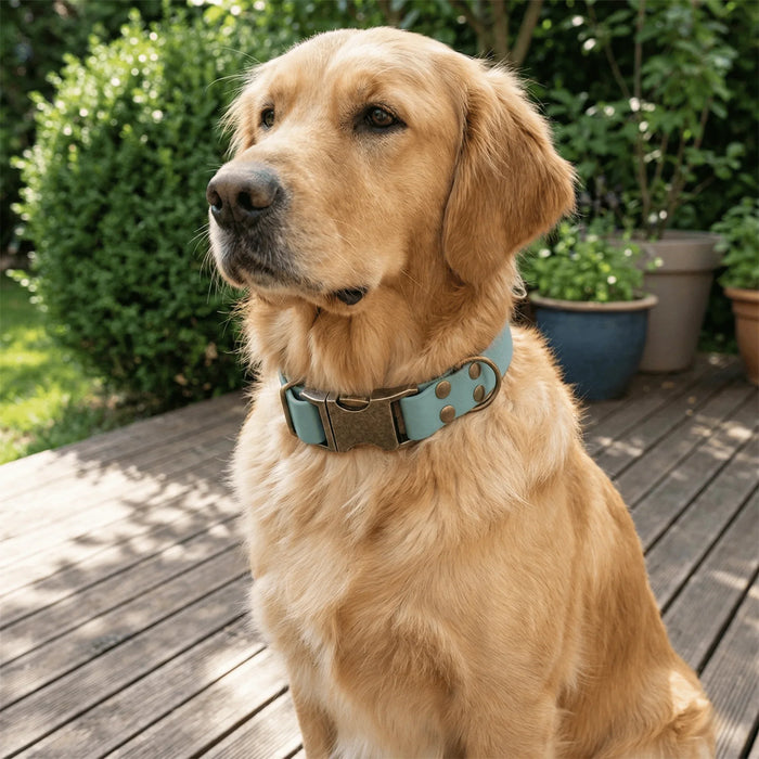 Duck Egg Blue Waterproof Biothane Metal Clasp Dog Collar