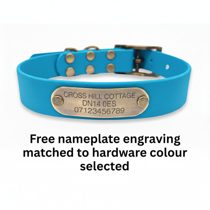 Baby Blue Waterproof Biothane Buckle Dog Collar