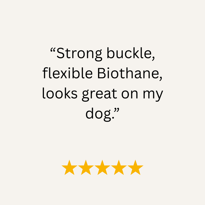 Dark Brown Waterproof Biothane Buckle Dog Collar