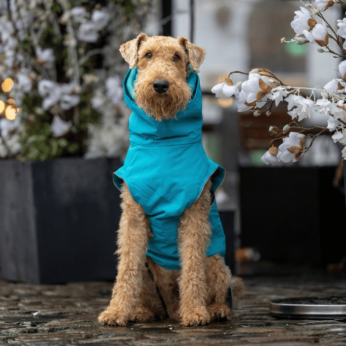 Teal Superior Waterproof Dog Coat