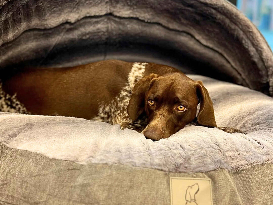 Grey Luxury Dog Cave Bed with Removable Firm Hood