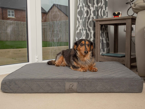 Collared Creatures Grey Velour Luxury Mattress Dog Bed