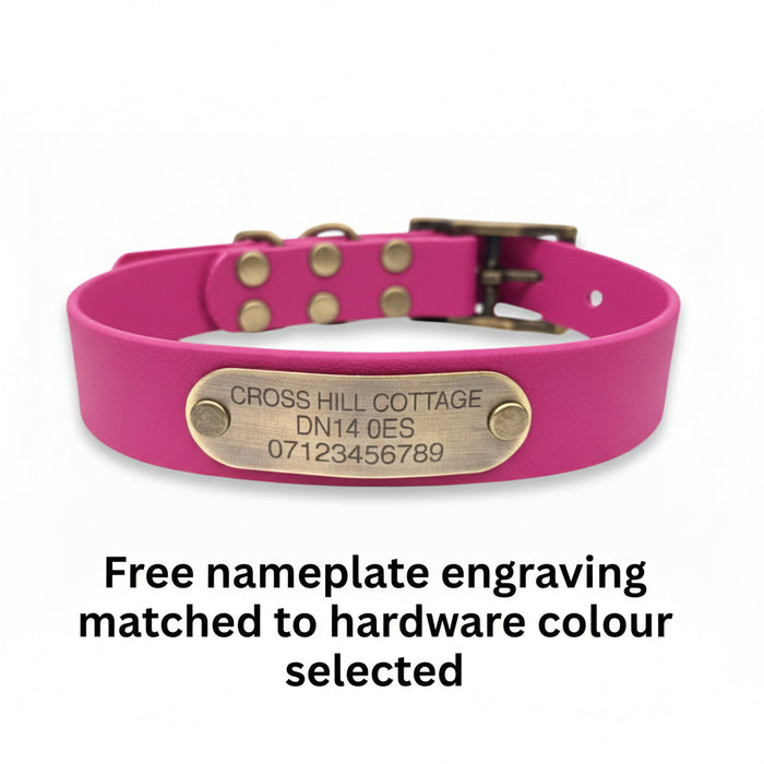 Magenta Waterproof Biothane Buckle Dog Collar