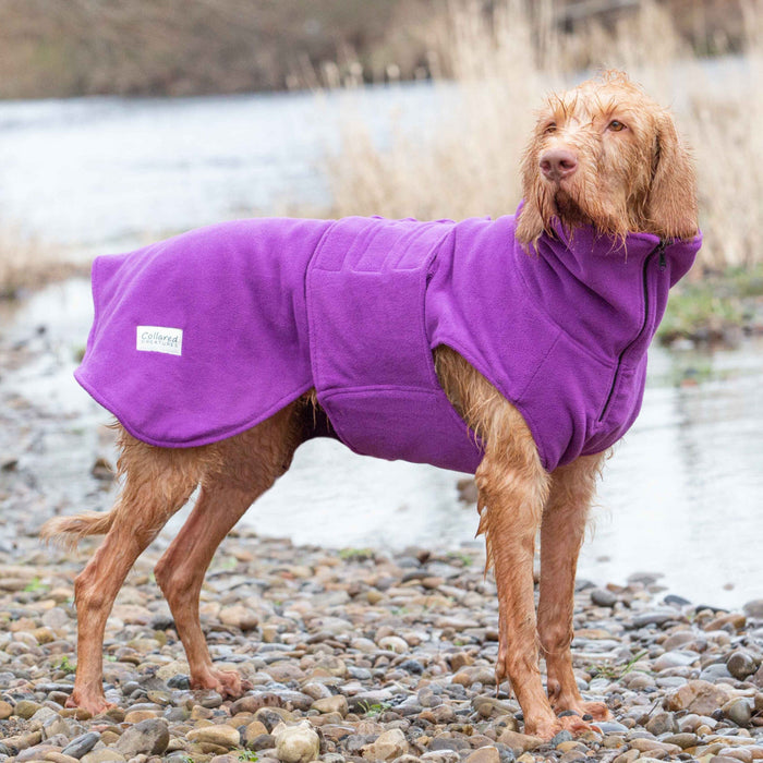 Collared Creatures - Perfectly Practical Dog Drying Coat - Available in 3 Colours