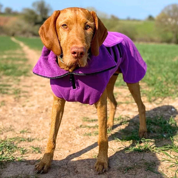 Magenta Superior Perfectly Practical Dog Drying Coat