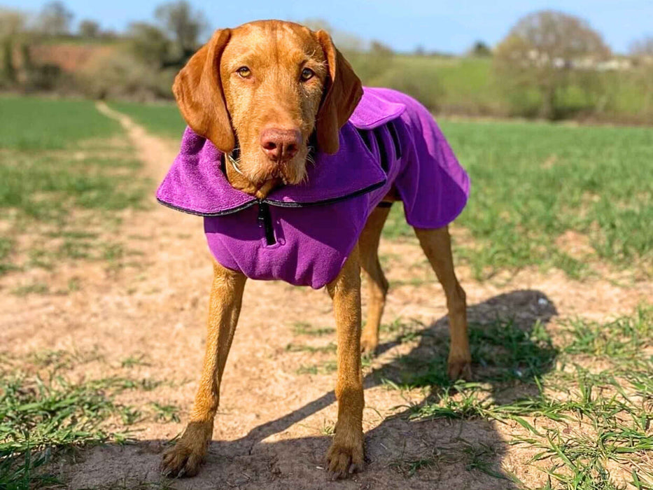 Collared Creatures - Perfectly Practical Dog Drying Coat - Available in 3 Colours