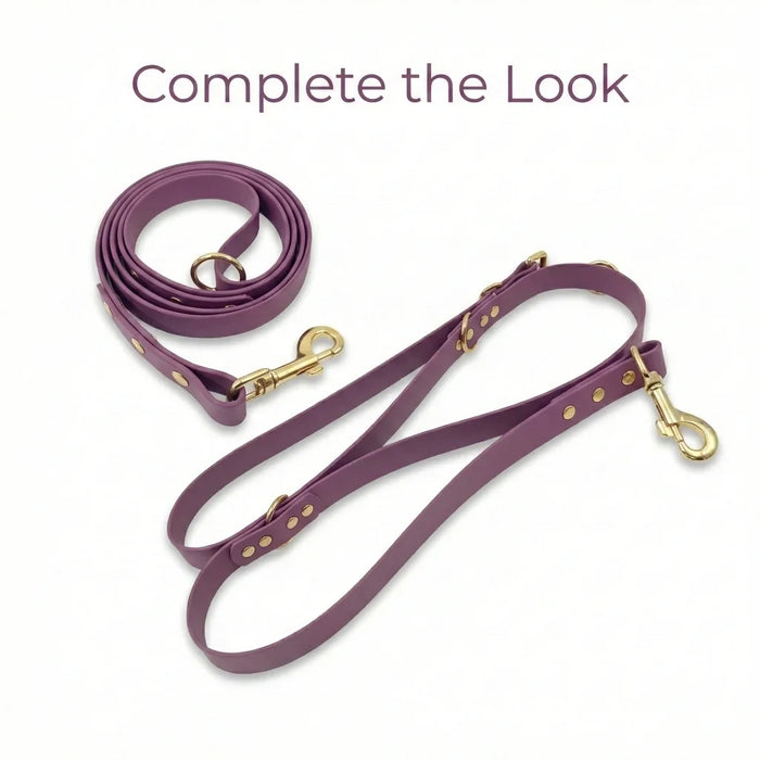 Mauve Waterproof Biothane Buckle Dog Collar