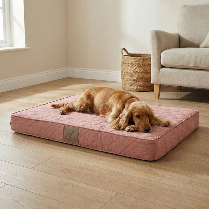 Collared Creatures Pink Velour Luxury Mattress Dog Bed
